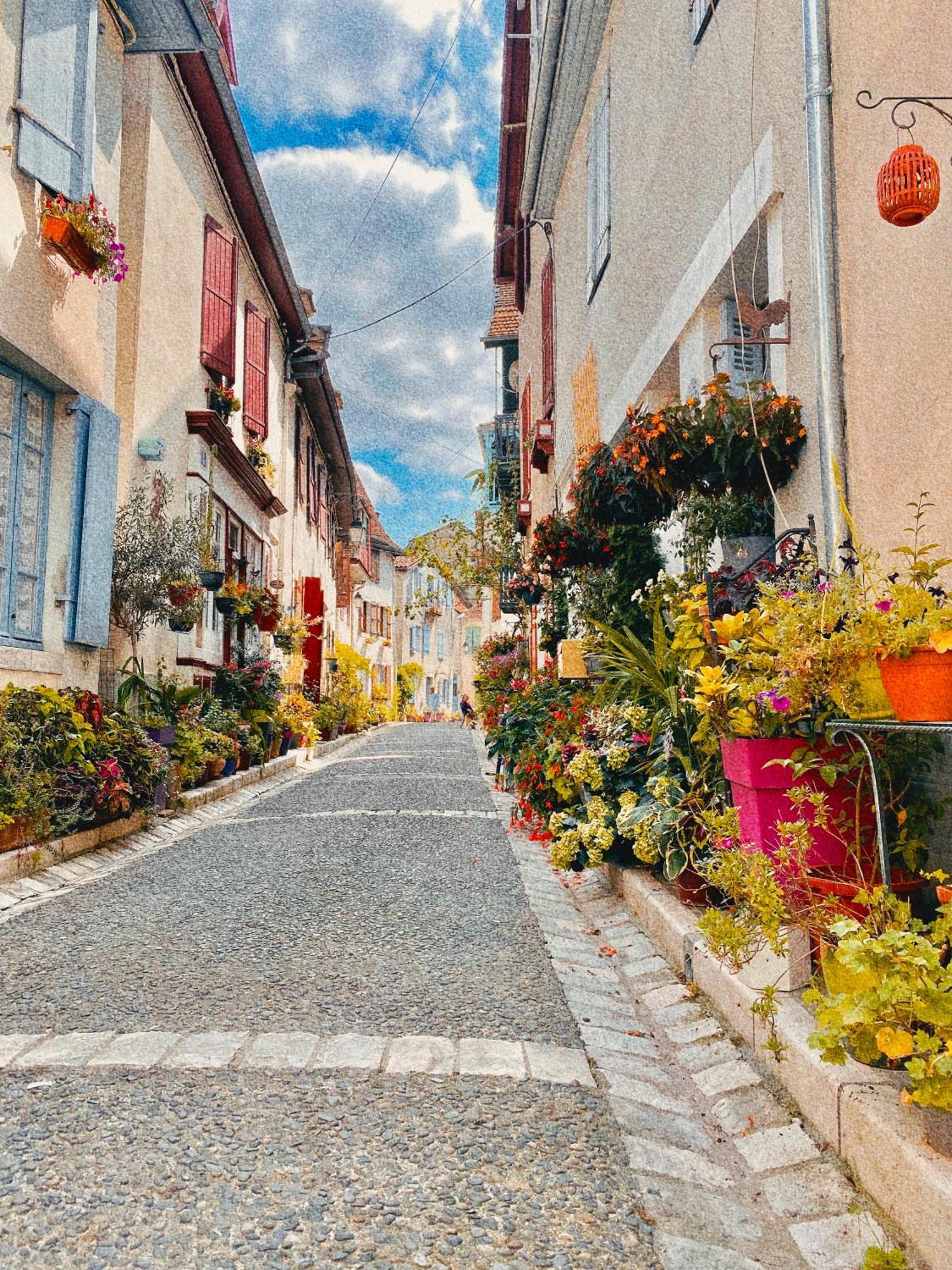 Agreable Petit Gite Avec Piscine Et Jardinet Salies-de-Béarn Exteriör bild