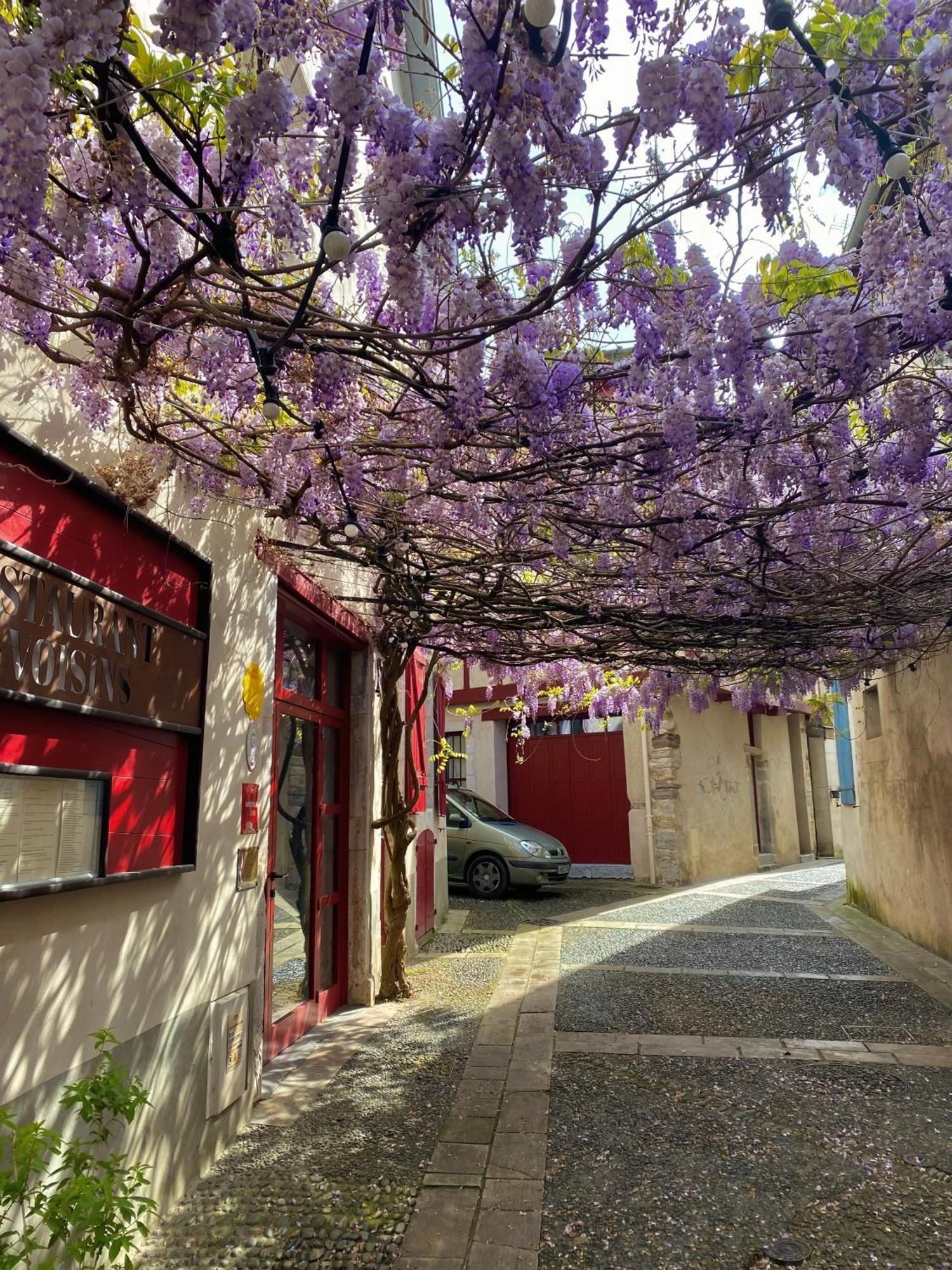 Agreable Petit Gite Avec Piscine Et Jardinet Salies-de-Béarn Exteriör bild